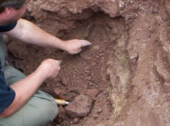 Conducting excavations
