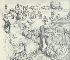 Medieval Harvesting. Click to open